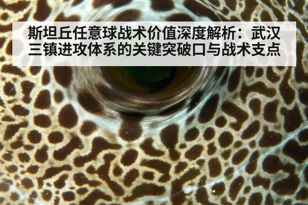 斯坦丘任意球战术价值深度解析：武汉三镇进攻体系的关键突破口与战术支点