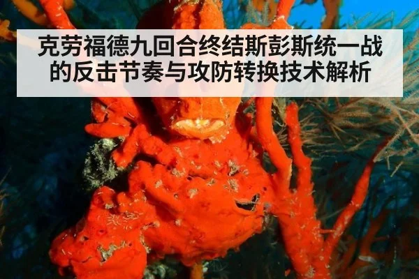 克劳福德九回合终结斯彭斯统一战的反击节奏与攻防转换技术解析